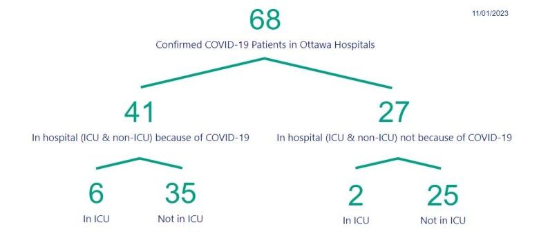 A graphic breaking down Ottawa COVID-19 hospitalizations.