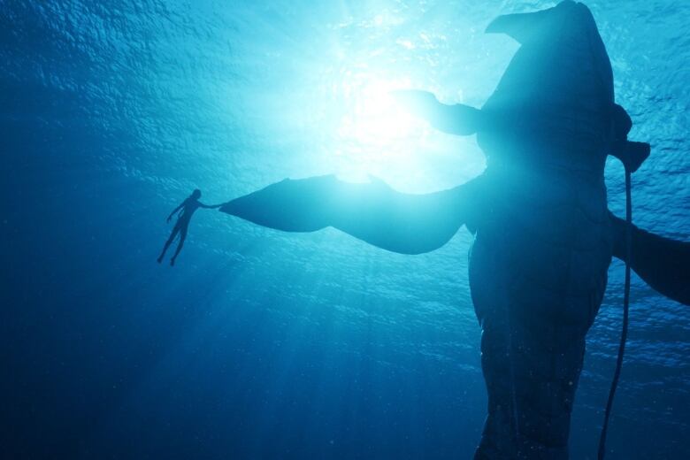 An image from the movie Avatar: The Way of Water featuring a whale touching their fin to a Na'vi. 