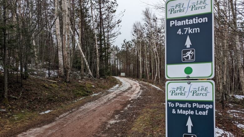 No snow on the cross country trails at Brookvale.