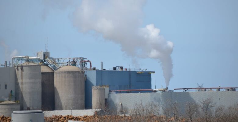 smoke rises from a grey and blue industrial plant against a blue sky, with a pile of logs in the foreground 