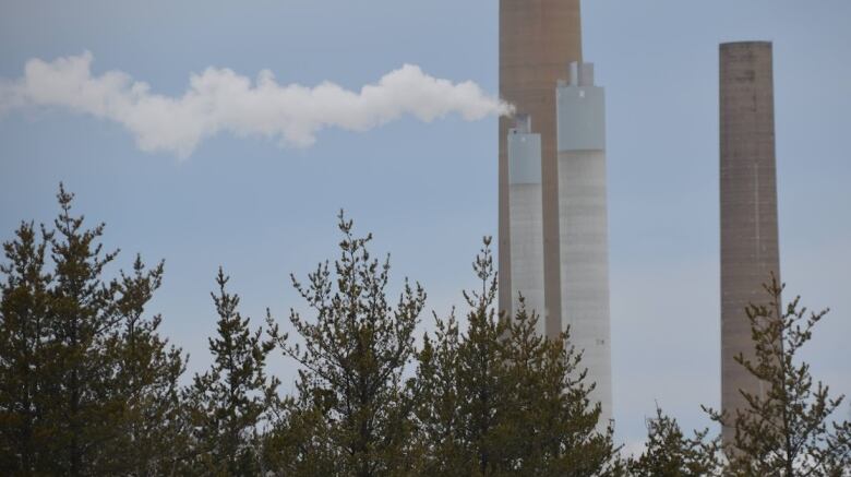 Four smokestacks, one with a train of white smoke coming out of it, stand against a blue sky with a row of fir trees in the foreground. 