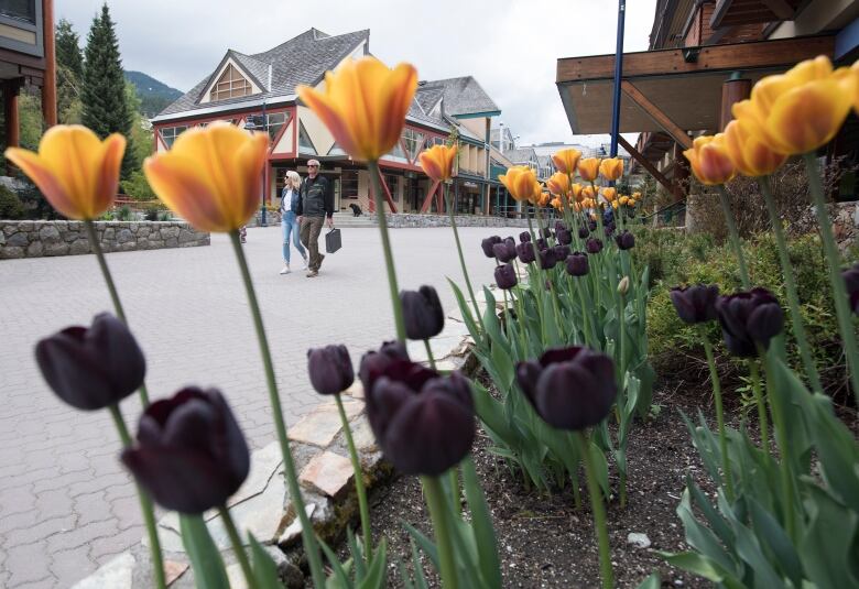 People are framed by the flowers as they walk through Whistler, B.C., Friday, May 15, 2020. Whistler, which is a travel destination for tourists around the world, is seeing the effects of travel bans due to COVID-19.