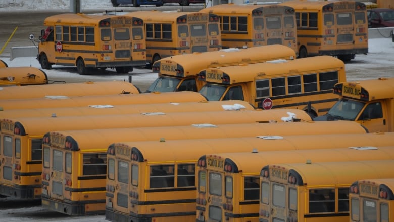 Yellow school buses sit in a parking lot in the winter time 