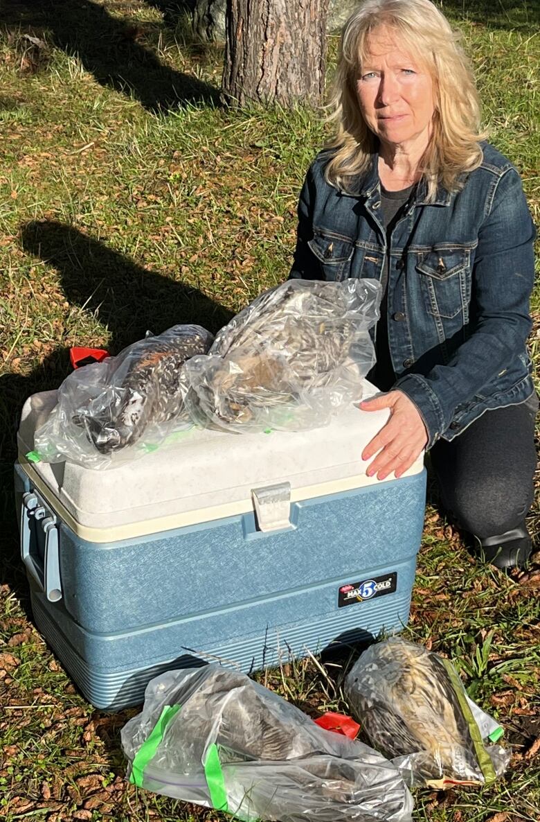 A woman kneels beside a camping cooler with four owls in plastic bags.