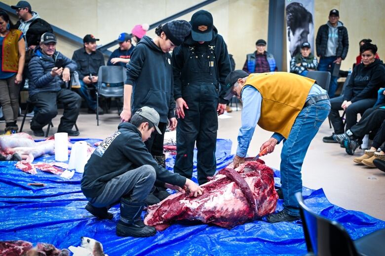 Four teenagers in black stand on a blue tarp, looking at caribou ribs/carcass. 