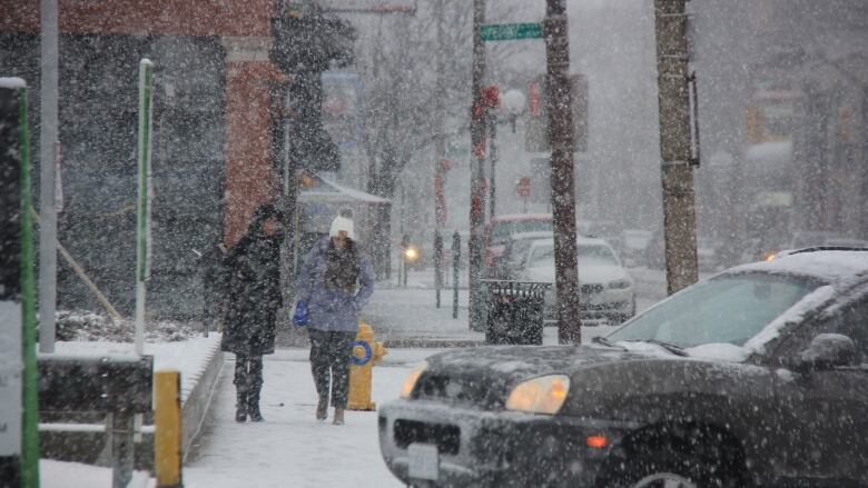 Two people walk on the sidewalk as snow falls along a city street in Windsor.