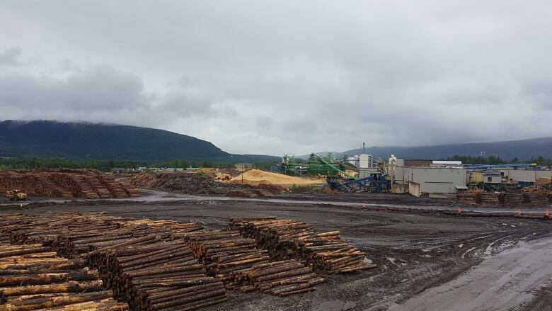 Rows of logs.