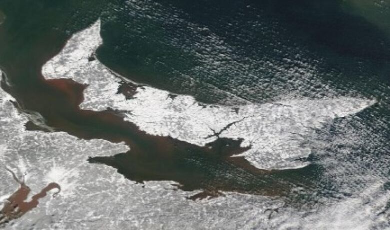 A satellite image of Prince Edward Island showing surrounding ice conditions.