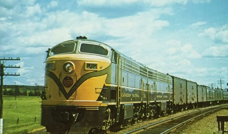 a train engine moving through a green pasture