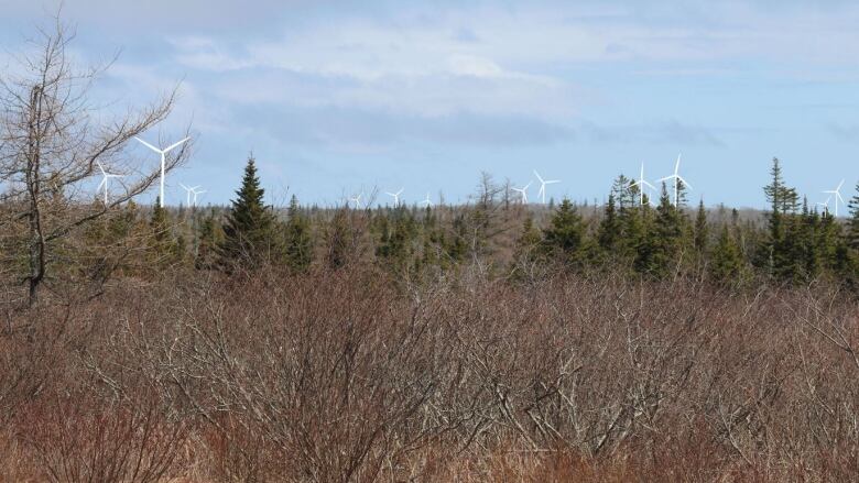 Scrub is seen in the foreground, with evergreen trees in the background and illustrations of white turbines poking above the horizon.