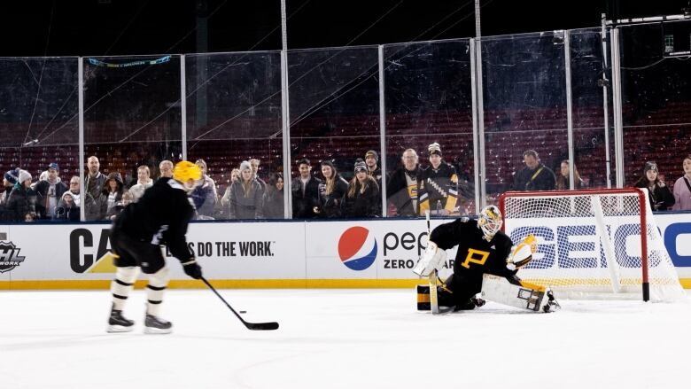 A small crowd watches an outdoor hockey practice at Boston's Fenway Park.