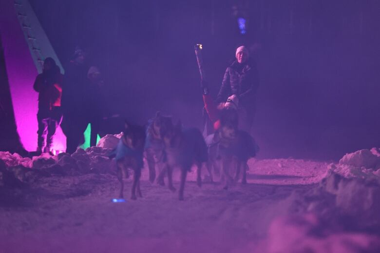 Two people ride a dog sled team into MacDonald Island Park in Fort McMurray, Alta.