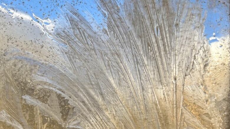 Frost on window makes shapes that look like feathers.