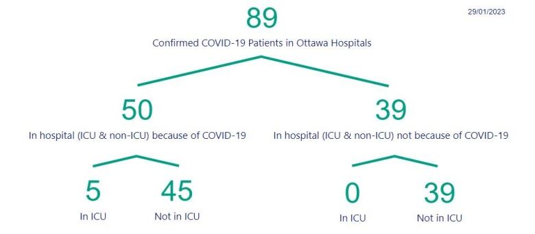 A graphic breaking down Ottawa COVID-19 hospitalizations.