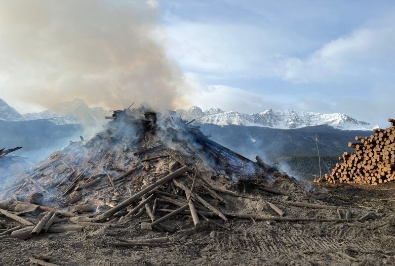 A project to create a fire guard on Protection Mountain means clearing 32.8 hectares of land. 