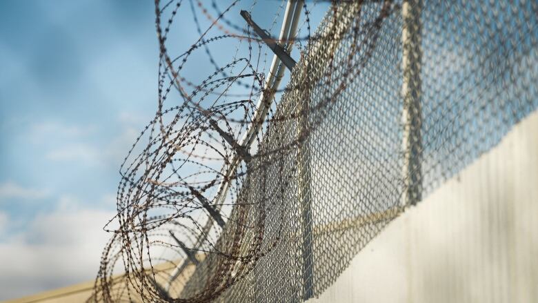 Barbed wire against a clear blue sky.