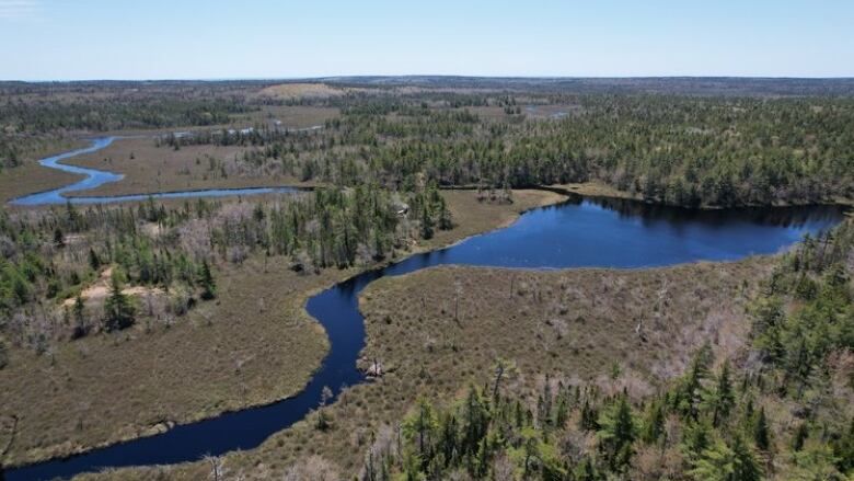 An aerial shot shows a river winding through a treed landscape.