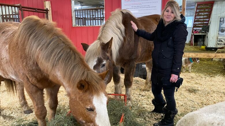 Danae Tonge, of Manitoba Animal Save, with two rescued horses. Tonge says their lives are a direct contrast to those of horses bred for the purpose of live export to Japan, where they are fattened and slaughtered to become raw horse meat sushi for a wealthy niche market.