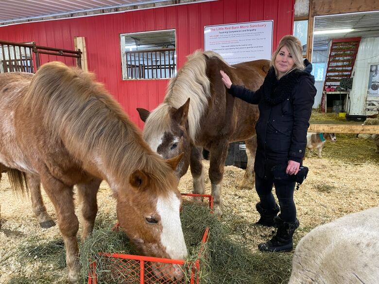 Danae Tonge, of Manitoba Animal Save, with two rescued horses. Tonge says their lives are a direct contrast to those of horses bred for the purpose of live export to Japan, where they are fattened and slaughtered to become raw horse meat sushi for a wealthy niche market.