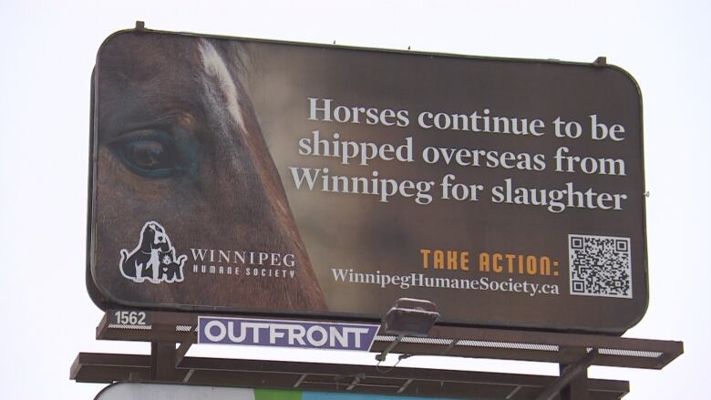 The Winnipeg Humane Society hopes Canadians will sign a petition calling on Ottawa to ban the export of live horses. The petition expires Feb. 7.