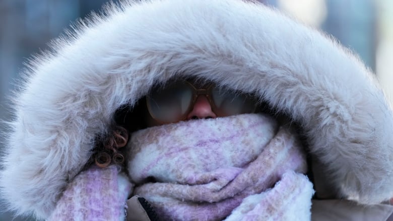 Someone with a fur-lined hood up and scarf over their mouth on a cold winter day.