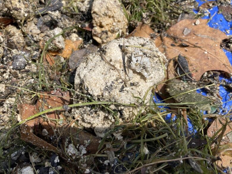 A rock-like, grainy mass of waste is pictured.