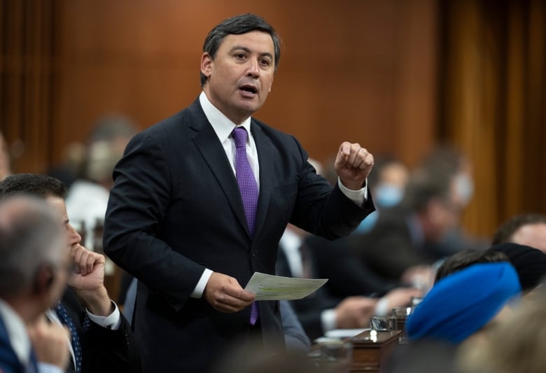 Conservative Foreign Affairs critic Michael Chong rises  during Question Period, in Ottawa, Monday, Nov. 14, 2022.