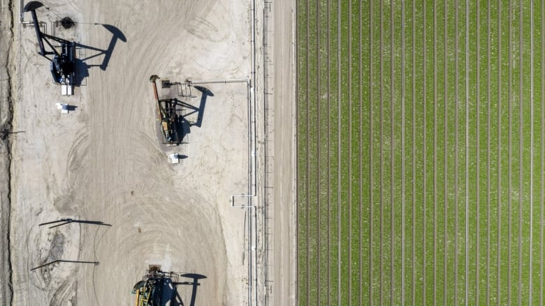 Oil pumpjacks owned and operated by Chevron are shown from above, next to a farmer's field in San Ardo California.