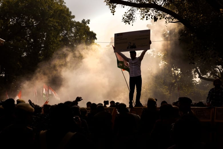 The silouette of a man holding a sign and a flag is shown above a group of protestors, with light smoke and trees in the background.