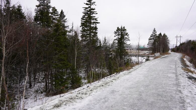 A snowy path running alongside trees is see in the foreground while people in jackets and a large building can be seen in the distance