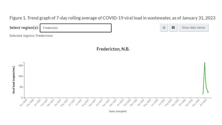 A graph with dates along the bottom that wastewater samples were collected in Fredericton, showing a sharp increase in the viral load in early January, illustrated by a green line.