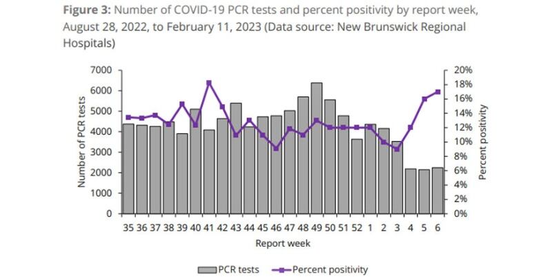 A chart with grey bars illustrating PCR tests and a purple line illustrating percent positivity between Aug. 28, 2022, and Feb. 11, 2023.