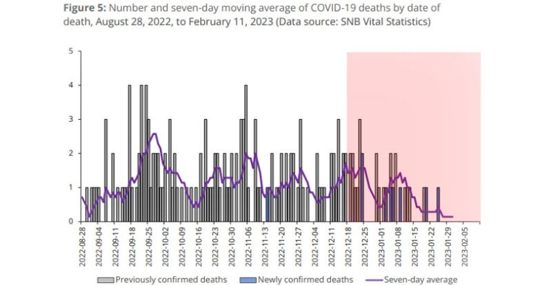 A bar graph showing dates of death between Aug. 28, 2022, and Feb. 11, 2023, along the bottom, and number of deaths along the left-hand side.