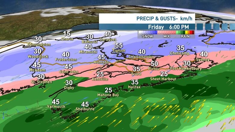 A graphic shows the precipitation and wind gusts estimations across the Maritime provinces for Friday, Feb. 16 at 6 pm.