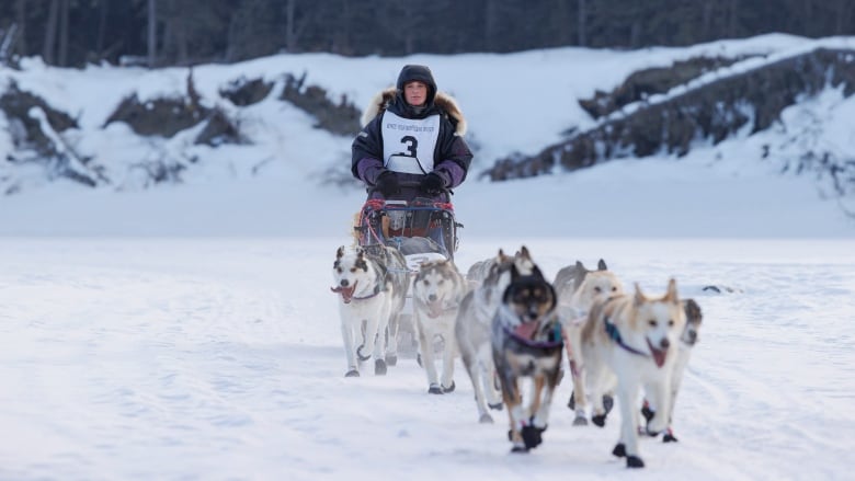 Woman at sled with team of smiling dogs.