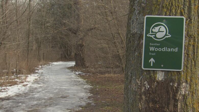 A sign posted on a tree points hikers toward a snow-covered trail in the woods.