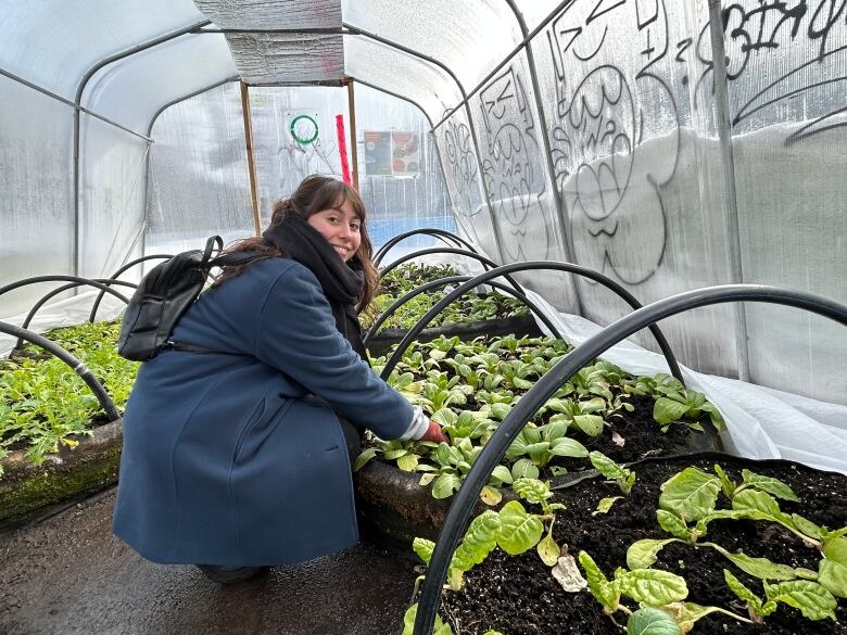 woman tending plants in greenshouse