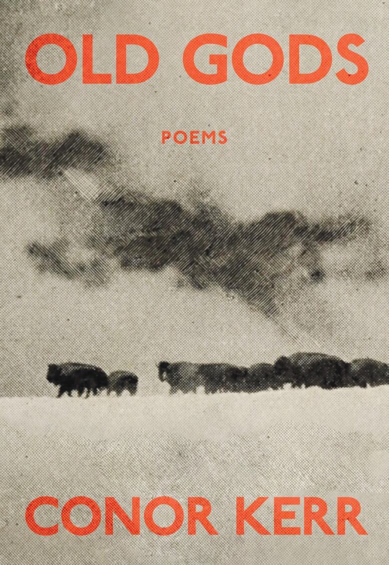 The book cover features a black and white photo of bison on the prairies. 