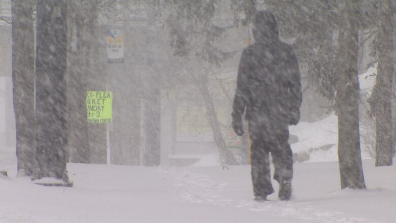 A person in a black puffer jacket is seen through quickly falling snow