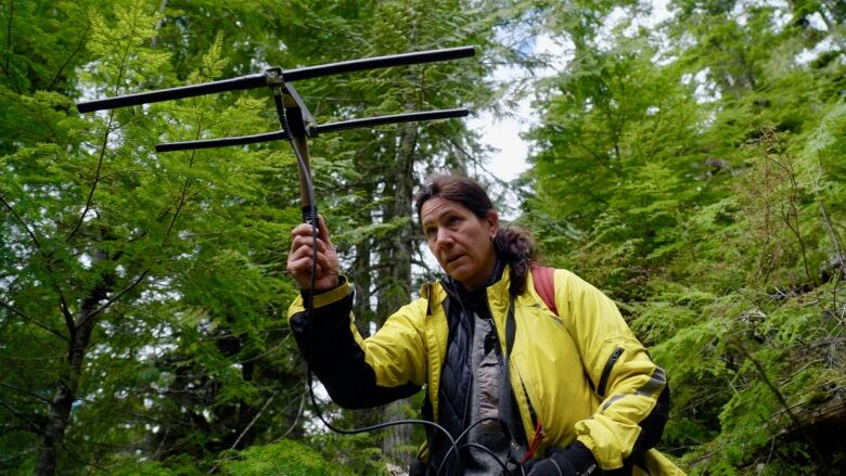 Lana Ciarniello holds up a large black device that looks like an antenna. She's wearing a yellow jacket and is in a forest.