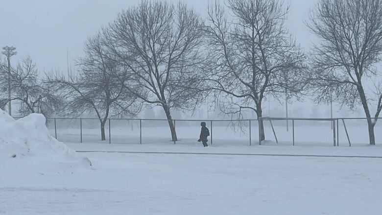 A snowy park is pictured with a man walking by in the distance.