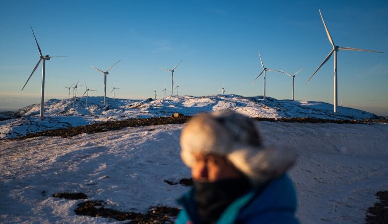 Win turbines in a snowy field. In the foreground is the head of a man wearing a winter hat with ear flaps.