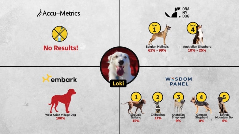 A chart with results from different companies. 