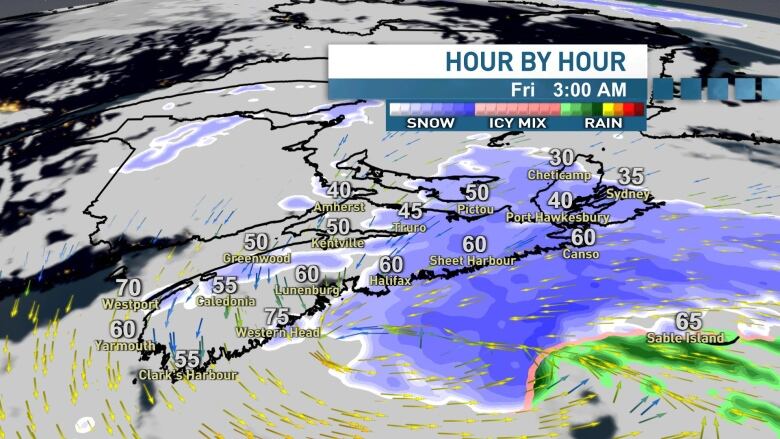 An hour by hour weather map of Nova Scotia.