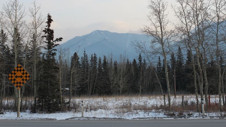 The intersection of Elk Run Boulevard and Bow Valley Trail is pictured on March 6, 2023.