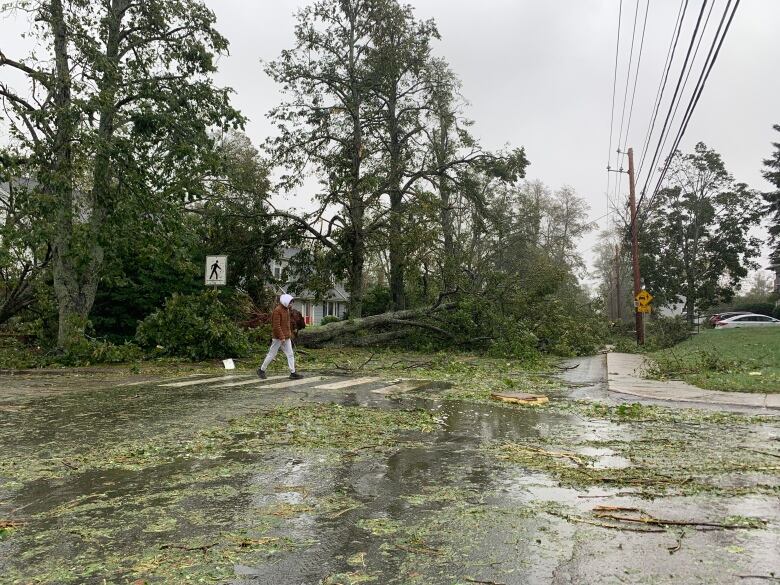 A person walks across a street devastated by damage from post-tropical storm Fiona, which has felled trees all around the person.