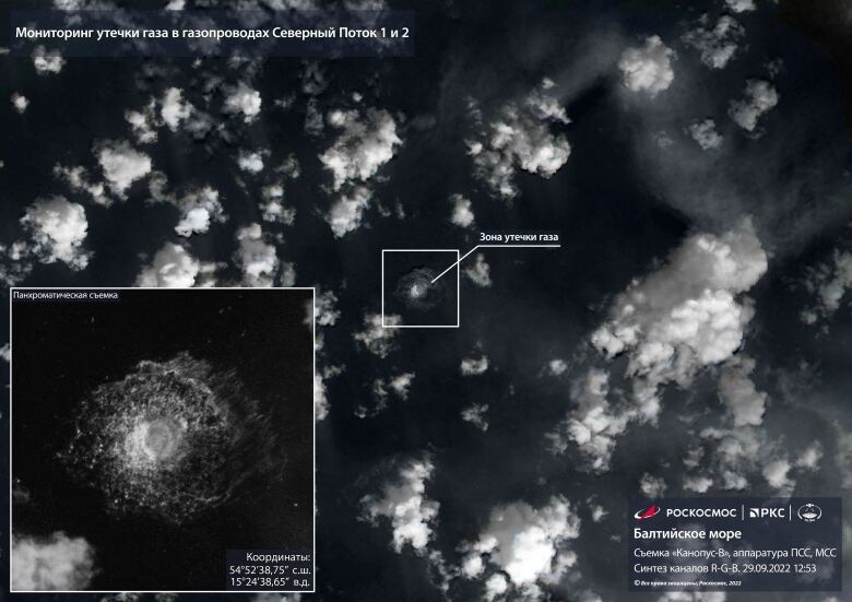 A black and white satellite image is shown.