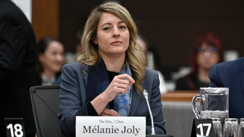 A white woman sits at a table and prepares to speak at a government hearing.