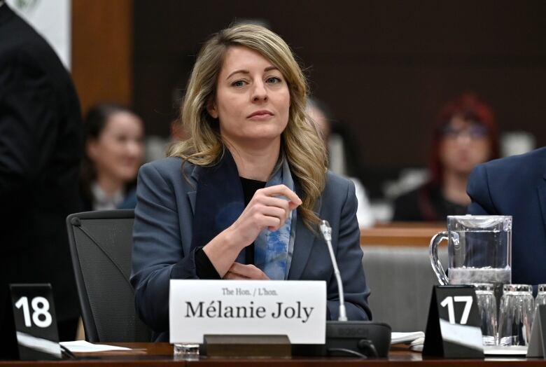 A white woman sits at a table and prepares to speak at a government hearing.