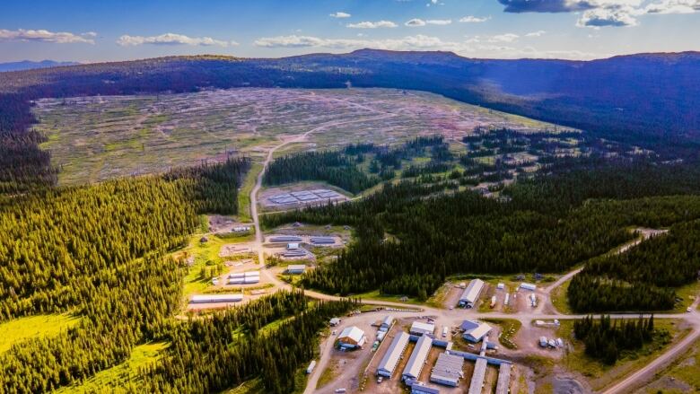 Aerial view of a site with buildings and trees.